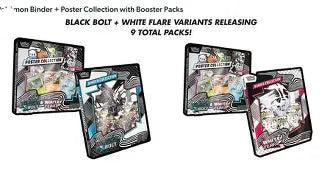 Pokemon WF/BB Binder + Poster Sams box